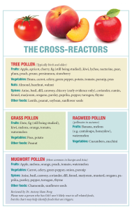 How A Food Allergy Test Can Change Your Life